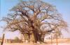 02 - Namibia Paesaggi.jpg